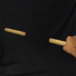 hashiguchi_tvcg25.jpg